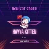 Hayya Kitten