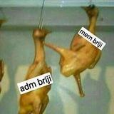 Tongkrongan anak briji