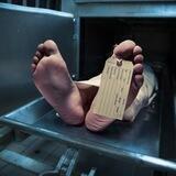Forensic Pathologist