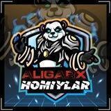 🛡 ALIGARX HOMIYLAR 🛡
