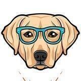 Doogle Dapp