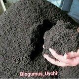 NAMANGAN BIOGUMUS UYCHI
