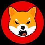 SHIBA!!! (Don't Forget The !!!) BSC