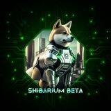 ShibariumBeta | Shibarium
