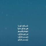 شعر دلچسب