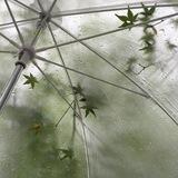 Rainy Rental || ORDAL