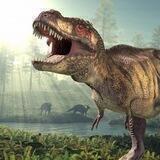 CryptoRex Official Channel