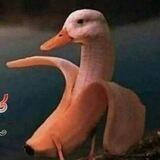 خـراﺑيـطᓇ الحېـاه😃💛