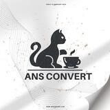 Ans Convert - Close.