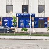 Silver Stone Standart Mikromoliya Tashkiloti