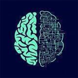 THE UNIVERSE