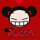$PUCCA family