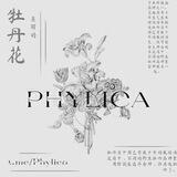 💌. Phylica BUKAAA
