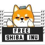 Free Shiba Inu - BSC