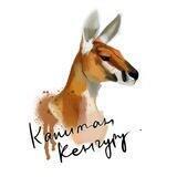 Capitan Kangaroo shop