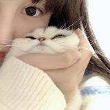 koneko. ♥︎
