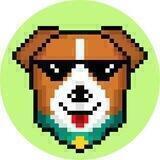 Patron Doge Bounty Campaign