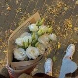 ✨𝓨𝓸𝓺𝓪𝓭𝓲𝓶𝓲...✨