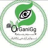سرمه چشم مغزیجات 👁️