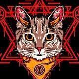 HELL CAT TOKEN OFFICIAL!!!! 😈