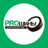 PROшины