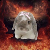 Мотылёк