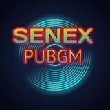 SENEX PUBG