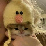 (к)анальчик деда