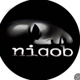 NIQOB TEAM