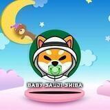Baby Saudi Shiba Inu