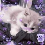 🐾˙∘Cat beads💜