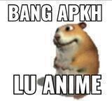 clon hahahayy