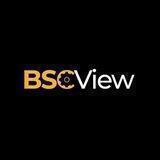 DexRocket BSCVIEW
