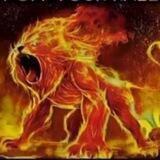 🔥Hombres Solares🔥