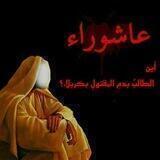 للحٖـﺳﺳَـينَ (؏)ⓜ³¹³