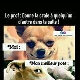 🤣 🤣 LE BATAILLON DU RIRE 🤣 🤣