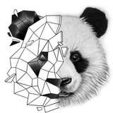 magic.bears casting (кастинги Бориса Ржезака)