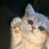 :3