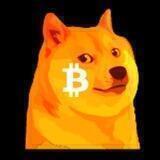 BTCdoge on Dogechain