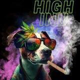 HIGH INU