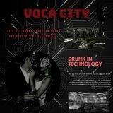 VOCA CITY SHITPOST