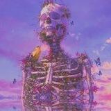 𝒌𝒂𝒓𝒕𝒚𝒂