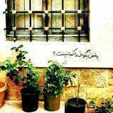 °|مـــ☘ــامـــن|°