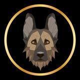 Antis Inu Entry Portal