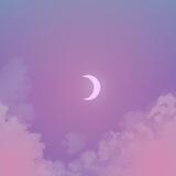 ❀ moonbloomix ❀