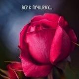 Пайзиева