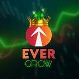 EverGrow 🔺 Portal