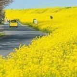 کانال نکته های کنکوری مبعث زارعی