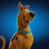 Scooby’s Crypto Reviews