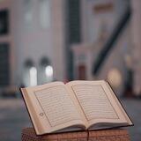 بالآي نرتق🍃